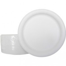 AJM Coated Paper Dinnerware Plates - Disposable - White - 125 / Pack