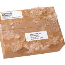 Avery® TrueBlock Weatherproof Mailing Labels - 1