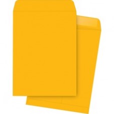 Business Source Kraft Gummed Catalog Envelopes - Catalog - 10