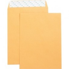Business Source Self Adhesive Kraft Catalog Envelopes - Catalog - 9
