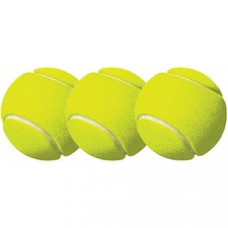 Champion Sports Practice Tennis Balls - 2.50