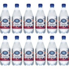 Crystal Geyser Natural Mixed Berry Sparkling Spring Water - Ready-to-Drink - 18 fl oz (532 mL) - 12 / Carton / Bottle