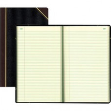 Rediform Texhide Cover Record Books with Margin - 500 Sheet(s) - Thread Sewn - 8 3/4