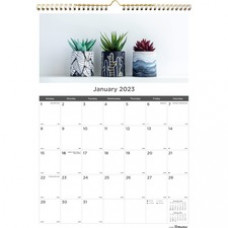 Rediform Succulent Plants Wall Calendar - Monthly - 12 Month - January 2023 - December 2023 - 1 Month Single Page Layout - Twin Wire - Multi - Chipboard - 17