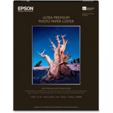 Epson Ultra Premium Photo Paper - C - 17
