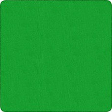 Flagship Carpets Classic Solid Color 12' Square Rug - Floor Rug - Traditional - 12 ft Length x 12 ft Width - Square - Lime Green - Nylon, Yarn