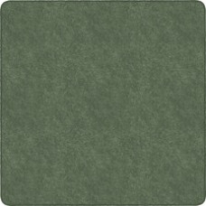 Flagship Carpets Amerisoft Solid Color Rug - 12 ft Length x 12 ft Width - Square - Sage Green - Nylon, Polyester