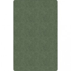 Flagship Carpets Amerisoft Solid Color Rug - 18 ft Length x 12 ft Width - Rectangle - Sage Green - Nylon, Polyester