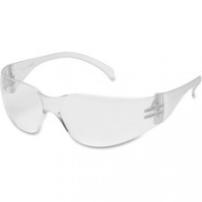 ProGuard Classic 810 Frameless Safety Eyewear - Anti-fog, Frameless, Lightweight, High Visibility, Comfortable - Ultraviolet Protection - Polycarbonate Lens, Polycarbonate Frame - Clear - 1 Each