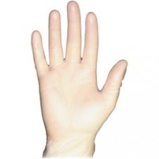 ProGuard Vinyl PF General Purpose Gloves - Small Size - Vinyl - Clear - Disposable, Powder-free, Beaded Cuff, Ambidextrous, Comfortable - For Food Handling, Cleaning, Painting, Manufacturing, Assembling, General Purpose - 100 / Box