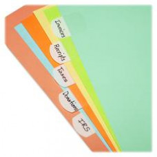 LEE Removable Hefty Index Tabs - Write-on Tab(s) - 1