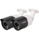 Video Surveillance & Security