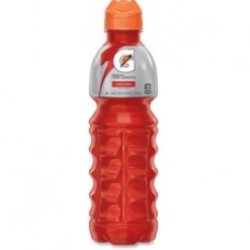 Gatorade Thirst Quencher Bottles - Ready-to-Drink - Fruit Punch Flavor - 24 fl oz (710 mL) - 24 / Carton