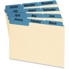 Oxford Laminated Tab Index Card Guides - 12 x Divider(s) - Printed Tab(s) - Month - January-December - 6