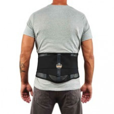 ProFlex 1051 Mesh Back Support w/Lumbar Pad - Black - Mesh Fabric