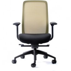 Eurotech Vera Mesh Back Executive Chair - Black Fabric Seat - Mesh Back - 5-star Base - Black, Gold - 1 Each