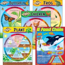 Trend Life Cycles Learning Charts Combo Pack - Theme/Subject: Learning - Skill Learning: Life Cycle - 5-9 Year